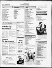 Síða 19