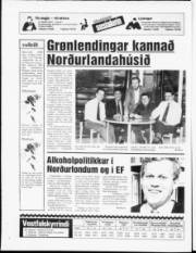 Síða 20