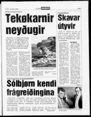 Síða 3