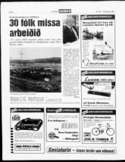 Síða 8