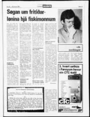 Síða 13