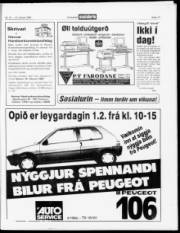 Síða 17