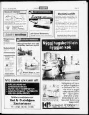 Síða 19