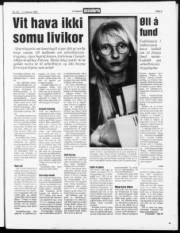 Síða 3