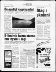 Síða 5