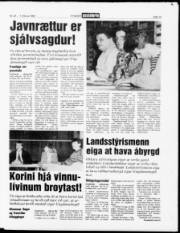 Síða 13