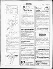 Síða 20