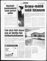 Síða 4
