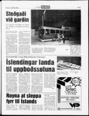 Síða 5