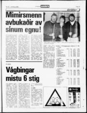 Síða 19