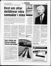 Síða 3