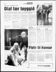 Síða 6