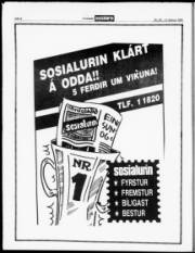 Síða 8