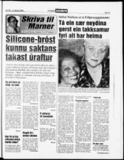 Síða 12