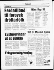 Síða 15