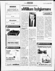 Síða 17