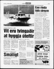 Síða 5