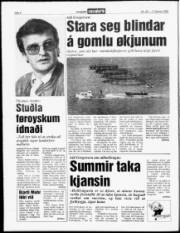Síða 4