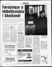 Síða 17