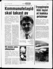 Síða 3