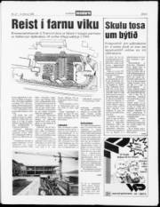 Síða 5