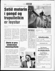 Síða 6