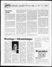 Síða 2