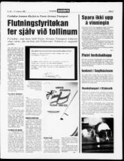Síða 3