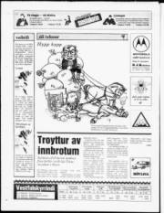 Síða 20