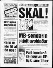 Síða 1