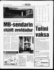 Síða 3