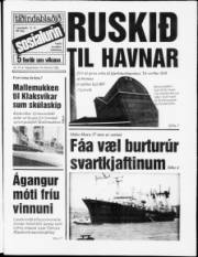 Síða 1