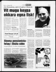 Síða 5