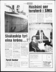 Síða 6