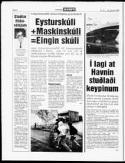 Síða 8