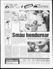 Síða 20
