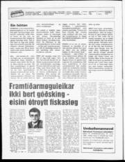 Síða 2