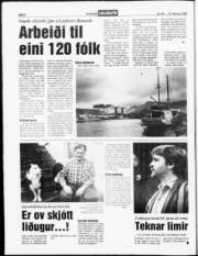 Síða 4