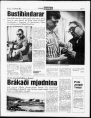 Síða 11