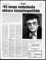 Síða 19