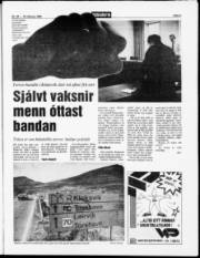 Síða 5