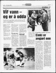 Síða 13