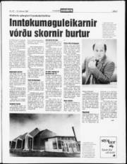 Síða 3