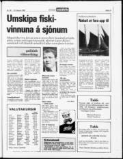 Síða 13