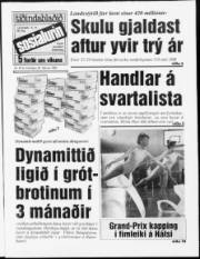 Síða 1