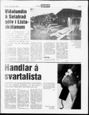 Síða 3