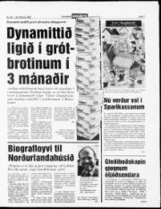 Síða 7
