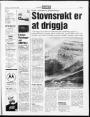 Síða 9