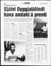Síða 4