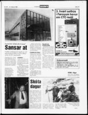 Síða 19